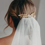 PEIGNE VILLIERS