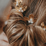 PICS MARAIS PERLES BLANCHES