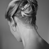 Pics, Marais, Perles Ivoire